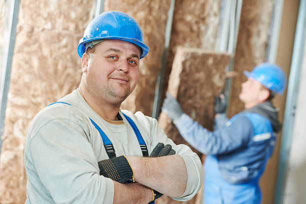 Best Insulation Maintenance and Repair in Taylor, TX